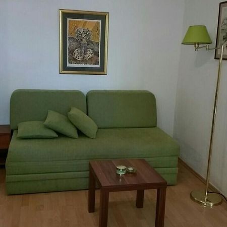 Kuca Skrabic Apartment Baška Voda Екстериор снимка