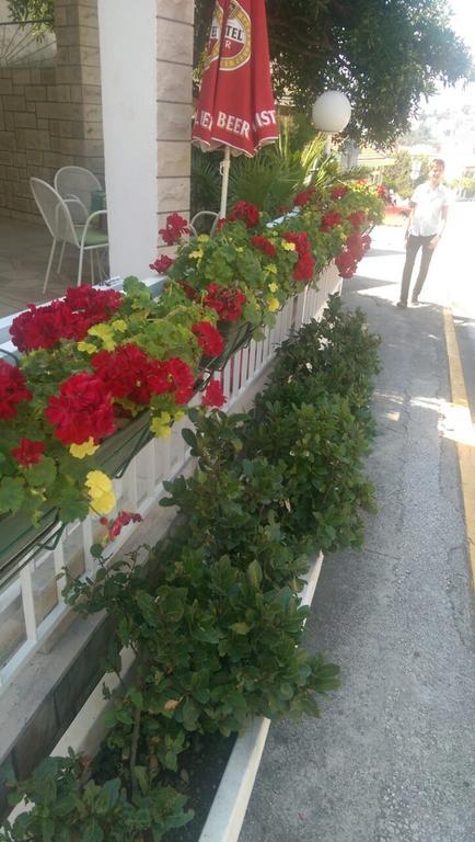 Kuca Skrabic Apartment Baška Voda Екстериор снимка